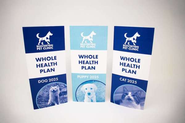BPC-trifold