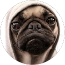 Monique Eldridge profile picture